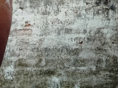 Desi Bada lund Jharkhandi Dude.
