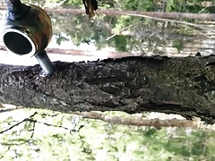 In forest