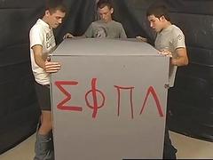 Gay XXX The glory fuckhole box is back!