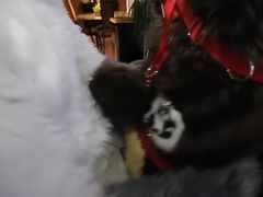 Fursuit sex 4
