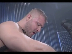 Assfuck, muscled, muscle hunk