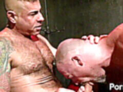 Bear sex, gay sex, gay