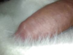 young colombian porn with very big penis