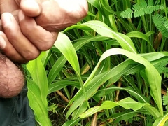 Outdoor Hj and Money-Shot on Grass