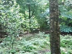 Analspiele im Wald