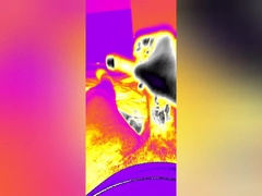 What I found in my Spouse's Smartphone