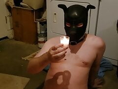 Pup making mess with candles
