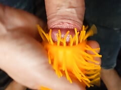 First Fuck For Twink Jerking Off Cocks Toys
