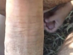 Blowjob at the beach 7