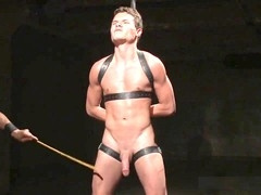 Domination, faphouse, dudes
