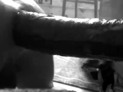 monster didlo