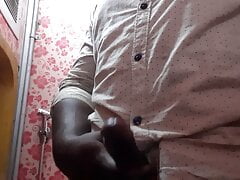 Dick flash in train toilet