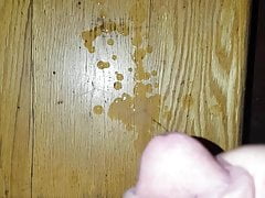 Me cumming with cock ring on watching shemale selfsuck porn