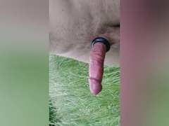 Outdoor have fun And torment manhood head electro vibration