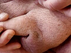 Masturbating to post on XHAMSTER2