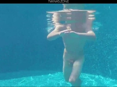 Summer Garden 2015 Peter Khout