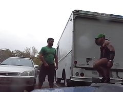 bears cum in public