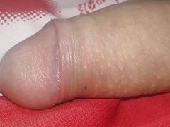 Colombian porno young penis full of milk ready for you