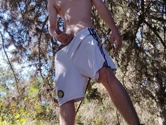 I go out to a gazebo for a walk and masturbate