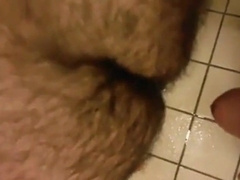 BEARS IN HAVE FUN HOTEL