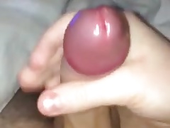 Freshly shaved & moisturised cock