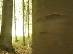 Twinks Fun in the Woods.