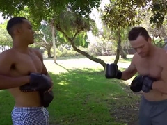 Sean & Murray Enjoy Some Bareback Fucking After Their Boxing Exercise With Sean Cody