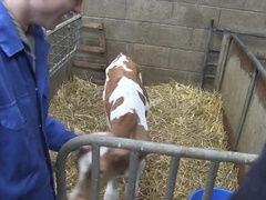Nasty Twunk Joy on the Farm!