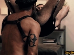 Wooly leather daddies in sling barebacking after anilingus