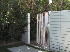 Phenix Saint, Hugo Milano And Gabriel Clark In Tough Love