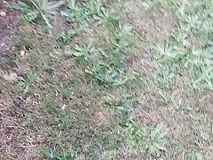 Pee Stefano_Sex