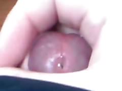 Purple cock uncut