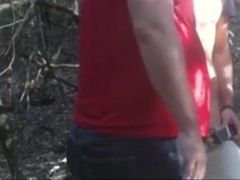 In A Neighboring Woods 1