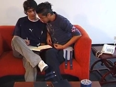 compa&ntilde eros estudiando y cogiendo