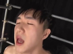 Japan Homosexuals Super-Hot Copulation 88