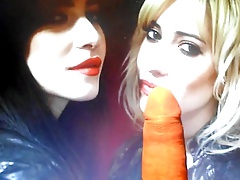 Lisa and Jessica Origliasso (The Veronicas)