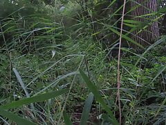 adidas short shorts running jog to naked thro the trees and countryside