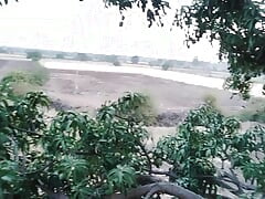 Forest Mango Tree Gay Fun Video -Desi Gay Movie in Village