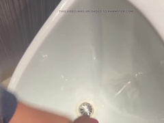 Public restroom the greatest place to find a dinky