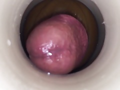 Hangover hornys by cum cam man