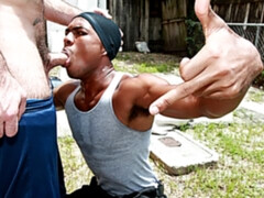 Outdoor interracial with Spencer Reed and Sean Xavier Lawrence