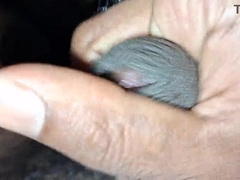 Indian BIG BLACK COCK stud vid 240