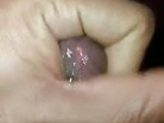 Chocolate Arab cock masturbated