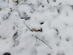 Pie Outside Winter in the White...