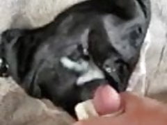 Buddy shooting a massive load into my wifes panties