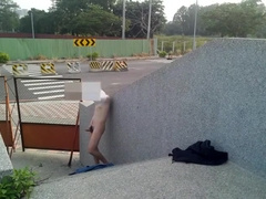 Public Park Cum Exhibition
