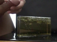 気持ちよくおしっこ遊びをしながら最後はその中に大量射精してしまう変態君。