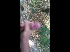 helping hand in park 2