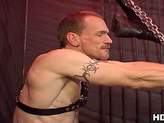 teddies backside double fisted