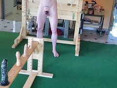 Dildobench Slave Olympics